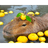 capybara emoji